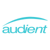 Audient آدینت