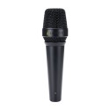 میکروفن با سیم Lewitt MTP 840 DMs