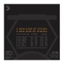 سیم گیتار الکتریک داداریو D'Addario NYXL 10-46