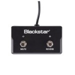 فوت سوئیچ  بلک استار Blackstar FS 16