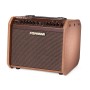 آمپلی فایر گیتار فیشمن Fishman Loudbox Mini Charge