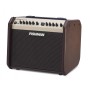 آمپلی فایر گیتار فیشمن Fishman Loudbox Mini