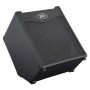 آمپلی فایر گیتار پی وی Peavey Max 110