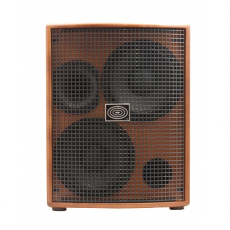 آمپلی فایر گیتار شرتلر Schertler Jam 400 Wood