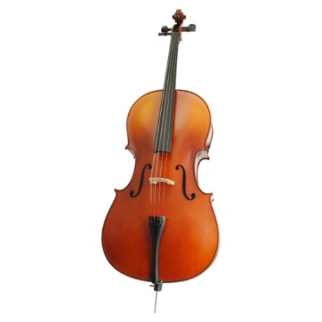 ویولن | ویولون سل هافنر Karl Hofner AS-040 C