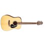 گیتار آکوستیک تاکامین Takamine G320