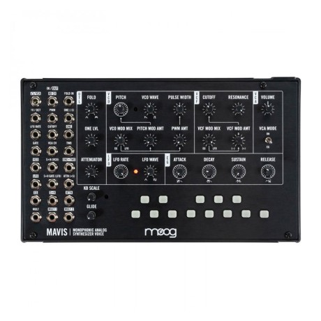 سینتی سایزر موگ Moog Mavis
