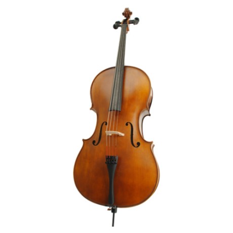 ویولن | ویولون سل رودریچ Roderich Paesold PA601E