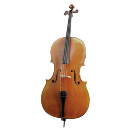 ویولن | ویولون سل رودریچ Roderich Paesold PA603E