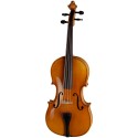 ویولا Roderich Paesold PA702E
