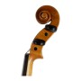 ویولن | ویولون رودریچ Roderich Paesold PA802
