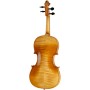 ویولن | ویولون رودریچ Roderich Paesold PA802E