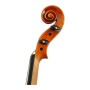 ویولن | ویولون رودریچ Roderich Paesold PA803