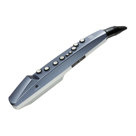 ساز دهنی رولند Roland AE 01 Aerophone Mini