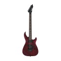 گیتار الکتریک B.C.Rich VLPTR