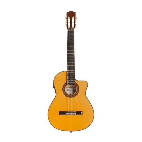 گیتار کلاسیک کوردوبا Cordoba 55FCE-Honey Amber