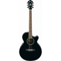 گیتار آکوستیک IBANEZ AEG10E BK
