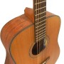 گیتار آکوستیک آیبانز IBANEZ AW3050 LG