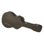 گیتار آکوستیک آیبانز IBANEZ EP10 BP