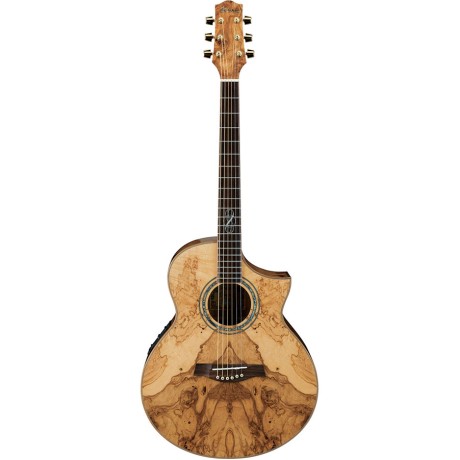 گیتار آکوستیک آیبانز IBANEZ EW35ABE NT