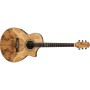 گیتار آکوستیک آیبانز IBANEZ EW35ABE NT