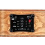 گیتار آکوستیک آیبانز IBANEZ EW35ABE NT