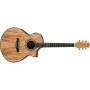 گیتار آکوستیک آیبانز IBANEZ EW50 SME