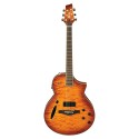 گیتار آکوستیک IBANEZ MSC380QM VV