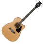 گیتار آکوستیک آیبانز IBANEZ PF17ECE-LG