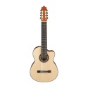 گیتار کلاسیک IBANEZ G208CWC-NT