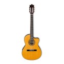 گیتار کلاسیک Ibanez GA5TCE AM