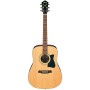 گیتار آکوستیک آیبانز IBANEZ V50NJP NT Package