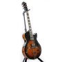 گیتار الکتریک آیبانز IBANEZ AG75 BS