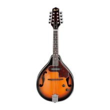 قیمت خرید فروش ماندولین آیبانز IBANEZ M510E BS