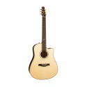 گیتار آکوستیک Seagull Artist Peppino Signature CW Element