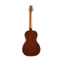 گیتار آکوستیک سیگال Seagull Coastline Cedar Grand QIT