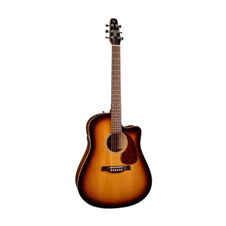 گیتار آکوستیک سیگال Seagull Entourage Rustic CW QIT