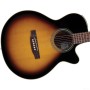 گیتار آکوستیک تاکامین Takamine EG260C-BSB
