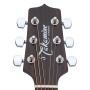 گیتار آکوستیک تاکامین Takamine EG260C-BSB