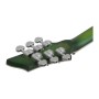 گیتار الکتریک شکتر Schecter C 1 Platinum Satin Green Burst
