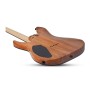 گیتار الکتریک شکتر Schecter C 6 Pro Aurora Burst
