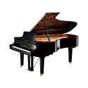 پیانو آکوستیک Yamaha C7 PE