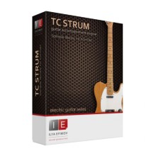 قیمت خرید فروش وی اس تی پلاگین  Ilya Efimov Production TC Strum