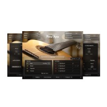 قیمت خرید فروش وی اس تی نیتیو اینسترومنتز  Native Instruments Session Guitarist Picked Nylon