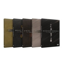 قیمت خرید فروش وی اس تی پلاگین نیتیو اینسترومنتز Native Instruments The Symphony Series