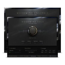 قیمت خرید فروش وی اس تی پلاگین نیتیو اینسترومنتز Native Instruments Woodwind Solo