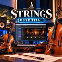 قیمت خرید فروش پکیج سازهای زهی  TM Strings Pack Essential