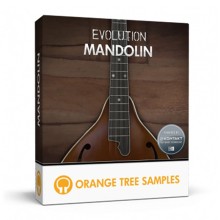قیمت خرید فروش وی اس تی پلاگین  Orange Tree Samples Evolution Mondolin