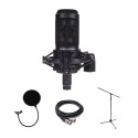 پکیج میکروفن Audio-Technica AT2050 Package