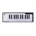 میدی کنترلر Arturia Microlab 25 Black